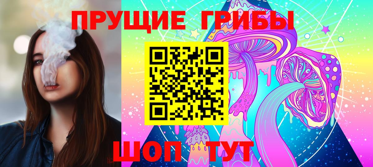 Псилоцибиновые грибы Psilocybe Черняховск