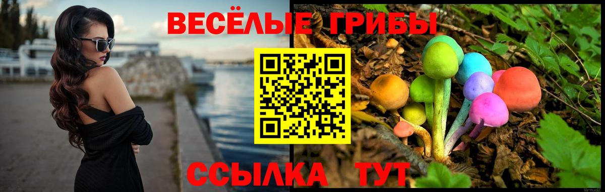 Псилоцибиновые грибы Magic Shrooms  Вход с VPN  Псилоцибиновые грибы Cubensis  хочу   Черняховск 