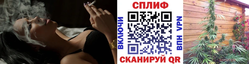где купить наркотик  Черняховск  МАРИХУАНА SATIVA & INDICA 